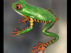 frog Modelo 3D