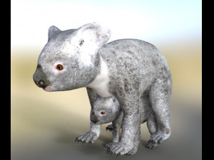 koalas mom and baby 3D Model