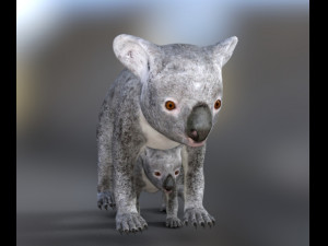 koalas mom and baby 3D Модель