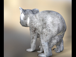koalas mom and baby 3D Модель