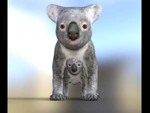 koalas mom and baby 3D Модель