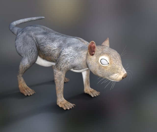 rodents squirrels 3D 模型 .c4d .max .obj .3ds .fbx .stl .blend 
