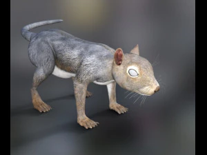 Nagetiere Eichh&ouml;rnchen 3D Modell