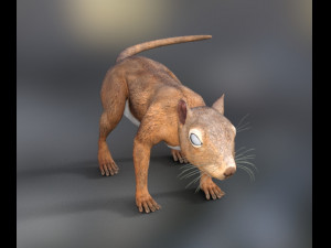 rodents squirrels 3D 模型
