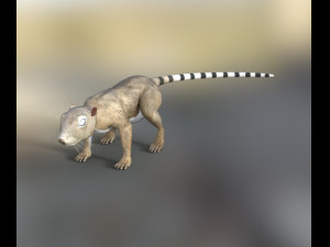rodents squirrels 3D 模型