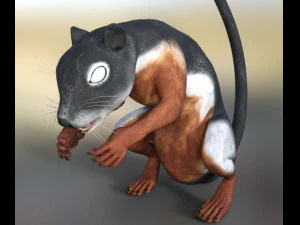 rodents squirrels 3D Model