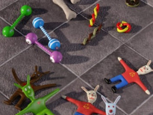 accessories dog pet Modelo 3D