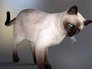 猫のポーズ 3D 3Dモデル