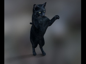 cat poses 3d 3Dモデル