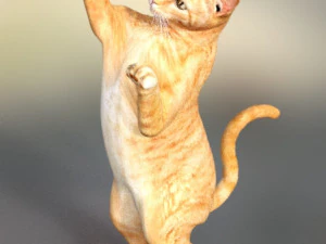 cat poses 3d 3D Model