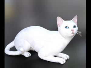 cat poses 3d 3Dモデル