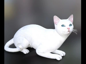 cat poses 3d 3D Model