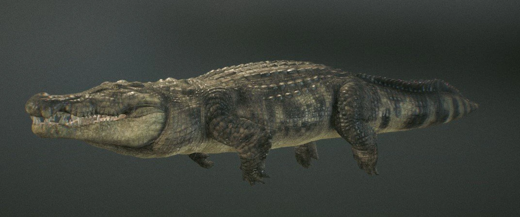 crocodile 3d 3D Model .c4d .max .obj .3ds .fbx .stl .blend 