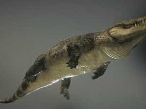 crocodile 3d 3D मॉडल