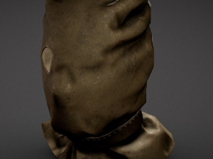 bag head 3D Model