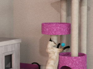 cat props accessories 3D Model