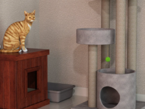 cat props accessories 3D Model