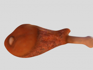 turkey food Modelo 3D
