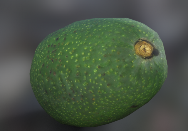 avocato realistic Modelo 3D .c4d .max .obj .3ds .fbx .stl .blend 