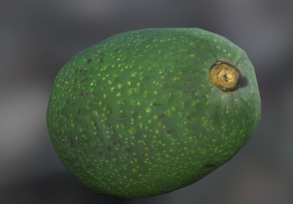 awokato realistyczne Model 3D .c4d .max .obj .3ds .fbx .stl .blend 