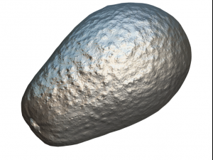 avocato realistic Modelo 3D