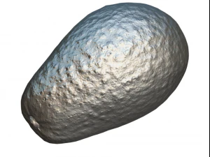 awokato realistyczne Model 3D