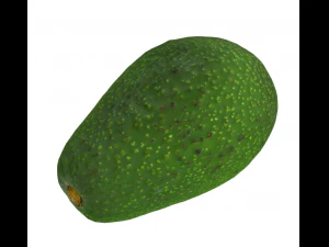 awokato realistyczne Model 3D