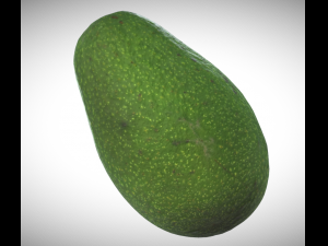 avocato realistic Modelo 3D