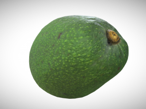avocato realistic Modelo 3D