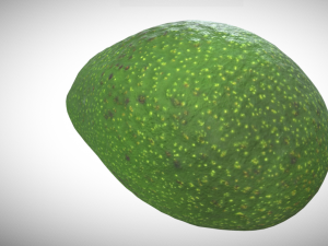 avocato realistic Modelo 3D