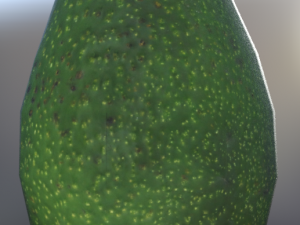 avocato realistic Modelo 3D
