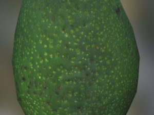 avocato realistic Modelo 3D