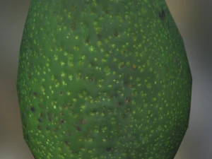 awokato realistyczne Model 3D