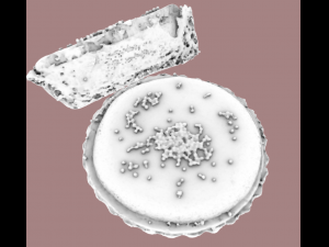 pastry pie Modelo 3D