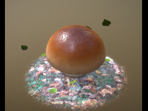 mushroom Model 3D