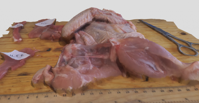 chicken 3D Model .c4d .max .obj .3ds .fbx .stl .blend 