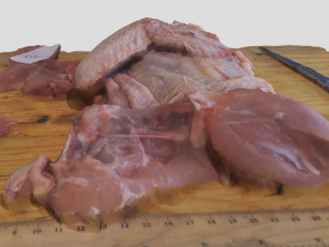 chicken 3D Model
