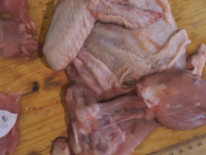 chicken 3D Model