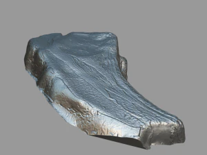 piece of beef steak 3D Model