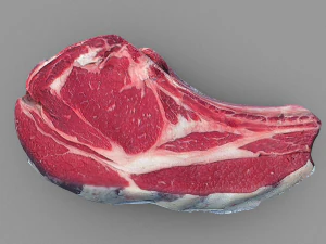 piece of beef steak 3D Model