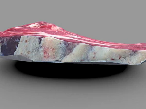 piece of beef steak 3D Model