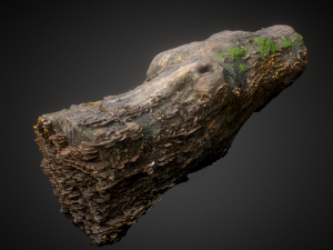 wood trunk Modelo 3D