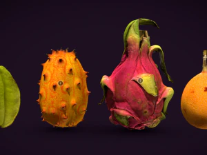 विदेशी फल 3D मॉडल