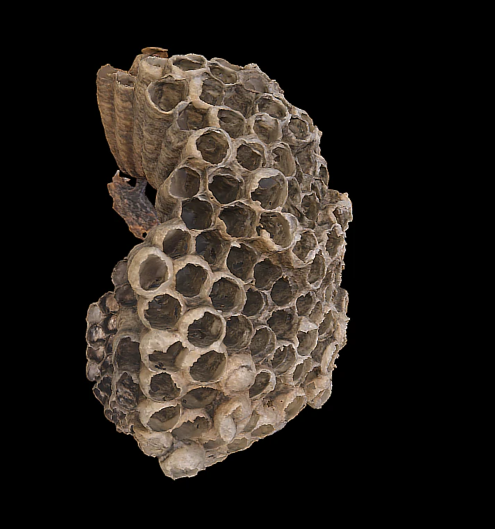behive bee 3D Model .c4d .max .obj .3ds .fbx .stl .blend 