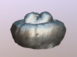 pumpkin low poly 3D Model
