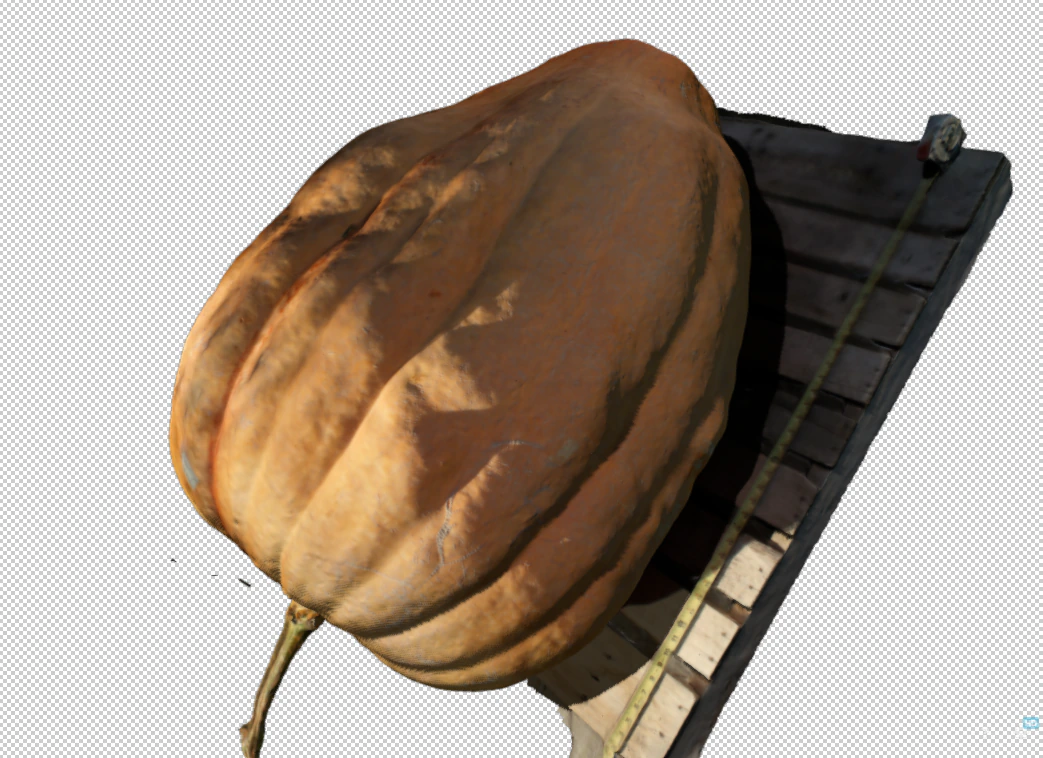 pumpkin realistic 3D Model .c4d .max .obj .3ds .fbx .stl .blend