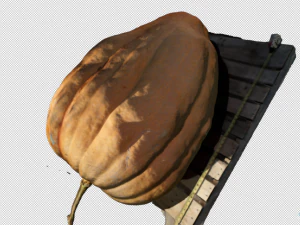 calabaza realista Modelo 3D