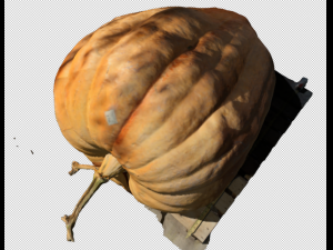 pumpkin realistic 3D Model
