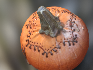 pumpkin monster halloween 3D Model