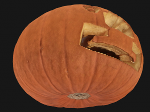 pumpkin halloween 3Dモデル
